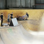 volcom_wild_in_the_park_2015_4